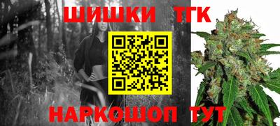 гидра Славгород