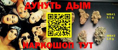прущие грибы Севастополь