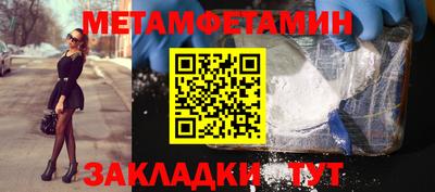 прущие грибы Севастополь