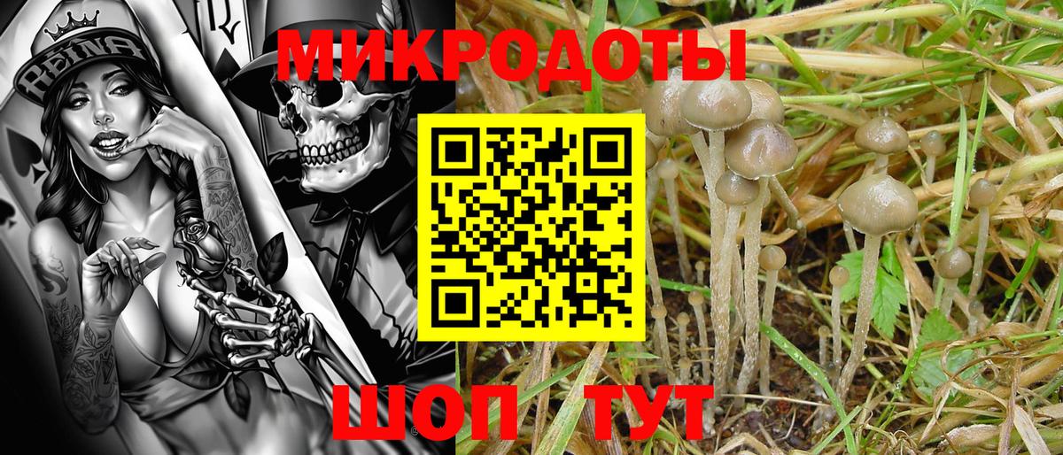 Псилоцибиновые грибы Magic Shrooms Орск