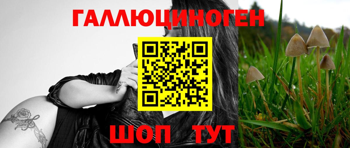 Орск  что такое   Галлюциногенные грибы GOLDEN TEACHER  Вход с VPN  Галлюциногенные грибы ЛСД 
